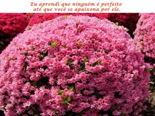 Eu aprendi que ninguém é perfeito
 até que você se apaixona por ele.
 