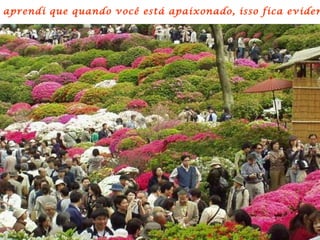 aprendi que quando você está apaixonado, isso fica eviden
 