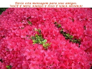 Envie esta mensagem para seus amigos.
VOCÊ É MEU AMIGO E ISSO É UMA HONRA!
 