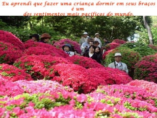 Eu aprendi que fazer uma criança dormir em seus braços
                        é um
       dos sentimentos mais pacíficos do mundo.
 