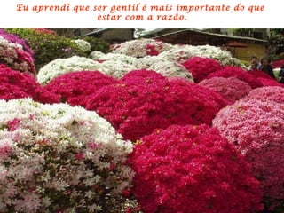 Eu aprendi que ser gentil é mais importante do que
                estar com a razão.
 