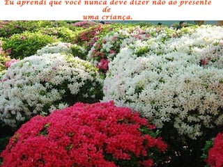 Eu aprendi que você nunca deve dizer não ao presente
                        de
                    uma criança.
 