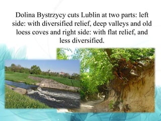 Dolina Bystrzycy cuts Lublin at two parts: left
side: with diversified relief, deep valleys and old
loess coves and right side: with flat relief, and
less diversified.
 