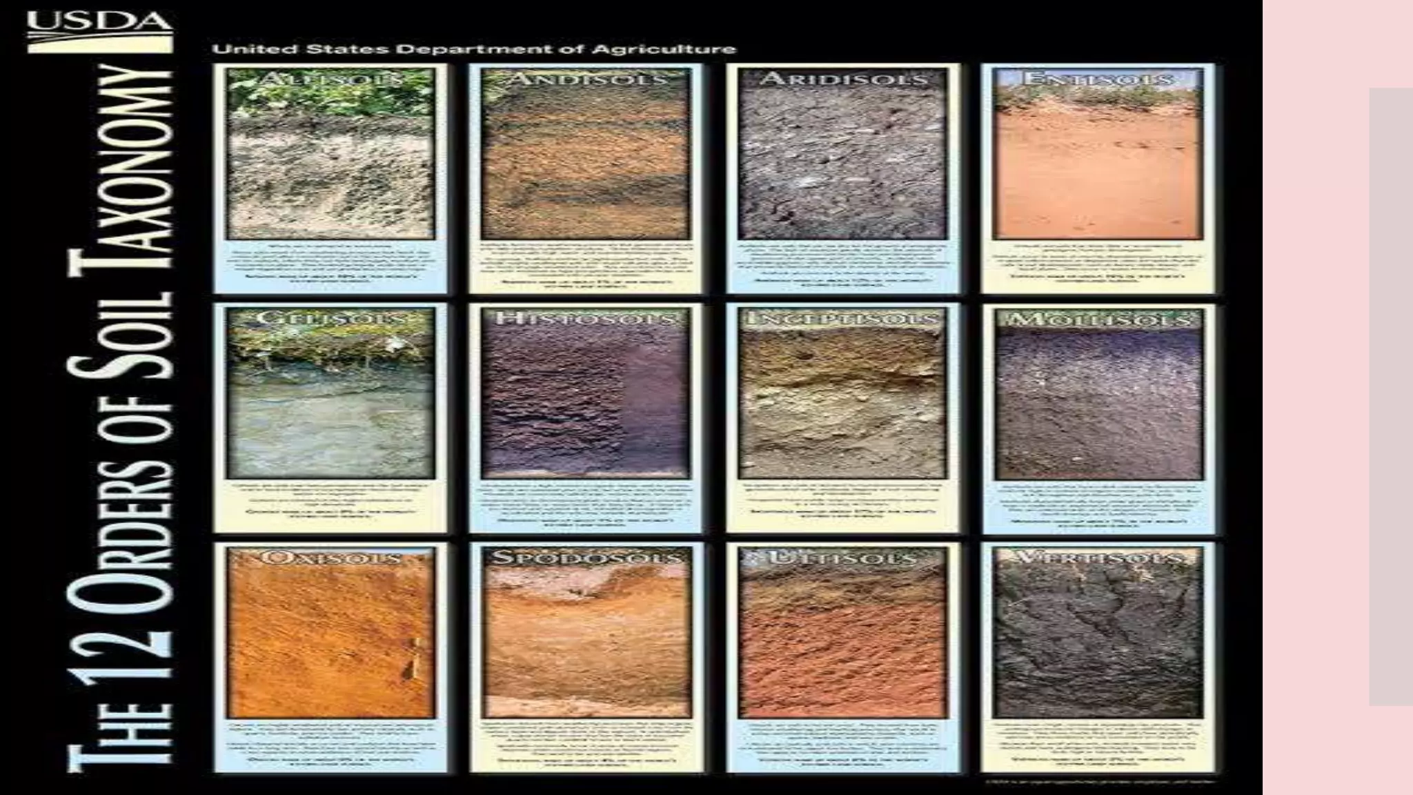 classification of soil | PPTX
