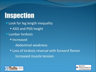 Lumbar exam in patients with Chronic Pain | PPT