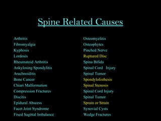 Spine Related Causes
Arthritis
Fibromyalgia
Kyphosis
Lordosis
Rheumatoid Arthritis
Ankylosing Spondylitis
Arachnoiditis
Bone Cancer
Chiari Malformation
Compression Fractures
Discitis
Epidural Abscess
Facet Joint Syndrome
Fixed Sagittal Imbalance
Osteomyelitis
Osteophytes
Pinched Nerve
Ruptured Disc
Spina Bifida
Spinal Cord Injury
Spinal Tumor
Spondylolisthesis
Spinal Stenosis
Spinal Cord Injury
Spinal Tumor
Sprain or Strain
Synovial Cysts
Wedge Fractures
 