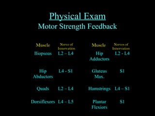 Physical Exam
Motor Strength Feedback
Muscle Nerve of
Innervation
Muscle Nerves of
Innervation
Iliopsoas L2 – L4 Hip
Adductors
L2 - L4
Hip
Abductors
L4 - S1 Gluteus
Max.
S1
Quads L2 – L4 Hamstrings L4 – S1
Dorsiflexors L4 – L5 Plantar
Flexiors
S1
 