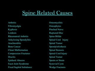 Spine Related Causes
Arthritis
Fibromyalgia
Kyphosis
Lordosis
Rheumatoid Arthritis
Ankylosing Spondylitis
Arachnoiditis
Bone Cancer
Chiari Malformation
Compression Fractures
Discitis
Epidural Abscess
Facet Joint Syndrome
Fixed Sagittal Imbalance
Osteomyelitis
Osteophytes
Pinched Nerve
Ruptured Disc
Spina Bifida
Spinal Cord Injury
Spinal Tumor
Spondylolisthesis
Spinal Stenosis
Spinal Cord Injury
Spinal Tumor
Sprain or Strain
Synovial Cysts
Wedge Fractures
 