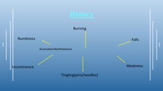 History
Associated Manifestations
Numbness
Tingling(pins/needles)
Burning
WeaknessIncontinence
Falls
 