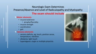 Neurologic Exam Determines
Presence/Absence and Level of Radiculopathy and Myelopathy
¶ Motor elements
• muscle bulk/tone
• atrophy/flaccidity
• muscle strength
• coordination
• gait
¶ Sensory elements
• sensory deficits, eg, touch, position sense,
temperature, vibration
• allodynia: light touch
• hyperalgesia: single or multiple pinpricks
The exam should include
 