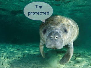 I’m
protected
 