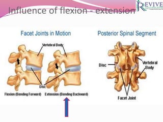 Influence of flexion - extension
 