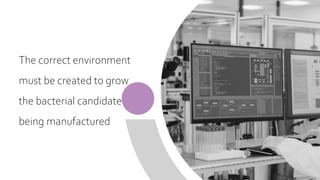 The correct environment
must be created to grow
the bacterial candidate
being manufactured
 