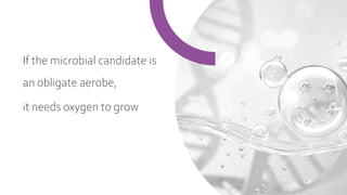 If the microbial candidate is
an obligate aerobe,
it needs oxygen to grow
 