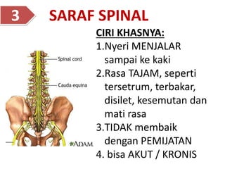 SARAF SPINAL
3
CIRI KHASNYA:
1.Nyeri MENJALAR
sampai ke kaki
2.Rasa TAJAM, seperti
tersetrum, terbakar,
disilet, kesemutan dan
mati rasa
3.TIDAK membaik
dengan PEMIJATAN
4. bisa AKUT / KRONIS
 