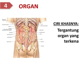 ORGAN
4
CIRI KHASNYA:
Tergantung
organ yang
terkena
 