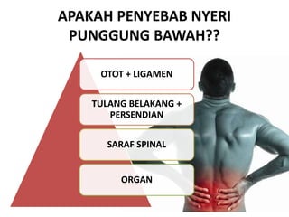 APAKAH PENYEBAB NYERI
PUNGGUNG BAWAH??
OTOT + LIGAMEN
TULANG BELAKANG +
PERSENDIAN
SARAF SPINAL
ORGAN
 