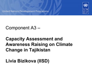 Component A3 –  Capacity Assessment and Awareness Raising on Climate Change in Tajikistan   Livia Bizikova (IISD)   