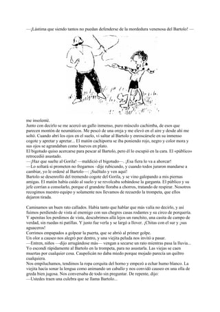 —¡Lástima que siendo tantos no puedan defenderse de la mordedura venenosa del Bartolo! —
me insolenté.
Junto con decirlo se me acercó un gallo inmenso, puro músculo cachimba, de esos que
parecen montón de neumáticos. Me pescó de una oreja y me elevó en el aire y desde ahí me
soltó. Cuando abrí los ojos en el suelo, vi saltar al Bartolo y enroscársele en su inmenso
cogote y apretar y apretar... El matón cachiporra se iba poniendo rojo, negro y color mora y
sus ojos se agrandaban como huevos en plato.
El bigotudo quiso acercarse para pescar al Bartolo, pero él lo escupió en la cara. El «público»
retrocedió asustado.
—¡Haz que suelte al Gorila! —maldició el bigotudo—. ¡Esa fiera lo va a ahorcar!
—Lo soltará si prometen no fregarnos –dije rubicundo, y cuando todos juraron mandarse a
cambiar, yo le ordené al Bartolo—: ¡Suéltalo y ven aquí!
Bartolo se desenrolló del tremendo cogote del Gorila, y se vino galopando a mis piernas
amigas. El matón había caído al suelo y se revolcaba sobándose la garganta. El público y su
jefe corrían a consolarlo, porque el grandote lloraba a chorros, tratando de respirar. Nosotros
recogimos nuestro equipo y solamente nos llevamos de recuerdo la trompeta, que ellos
dejaron tirada.
Caminamos un buen rato callados. Había tanto que hablar que más valía no decirlo, y así
fuimos perdiendo de vista al enemigo con sus chegres casas rodantes y su circo de porquería.
Y apenitas los perdimos de vista, descubrimos allá lejos un ranchito, una casita de campo de
verdad, sin ruedas ni patillas. Y justo fue verla y se largó a llover. ¡Chitas con el sur y ¡sus
aguaceros!
Corrimos empapados a golpear la puerta, que se abrió al primer golpe.
Un olor a causeo nos alegró por dentro, y una viejita peluda nos invitó a pasar.
—Entren, niños —dijo arrugándose más— vengan a secarse un rato mientras pasa la lluvia...
Yo escondí rápidamente al Bartolo en la trompeta, para no asustarla. Las viejas se caen
muertas por cualquier cosa. Caupolicán no daba miedo porque mojado parecía un quiltro
cualquiera.
Nos empiluchamos, tendimos la ropa cerquita del horno y empezó a echar humo blanco. La
viejita hacía sonar la lengua como animando un caballo y nos convidó causeo en una olla de
greda bien jugosa. Nos conversaba de todo sin preguntar. De repente, dijo:
—Ustedes traen una culebra que se llama Bartolo...
 