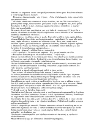 Pero otra vez empezaron a sonar las tripas lujuriosamente. Daban ganas de volverse a la casa
y comer aunque fuera un pan duro.
—Busquemos alguna ensalada —dijo el Negro—. Total si le falta aceite, limón o sal, al ratito
nos acostumbramos.
Y ahí mismo encontramos una mina de berros, fresquitos y sin uso. Nos tiramos al suelo y
para no perder tiempo, mordisqueamos igual que las ovejas, en su propia mata, hasta quedar
bien llenos. Y el berro es pura vitamina, porque nos levantamos sintiéndonos la muerte y
listos para la peor batalla.
De repente, descubrimos un coleóptero raro, pero lindo, de color tornasol. El Negro fue a
tomarlo y le salió un olor fétido, así que lo dejó irse con toda su hediondez. Cada uno tiene su
modito de defenderse en este mundo.
Y cuando menos pensábamos, crujió el gancho de un árbol y saltó un puma gigante. (Claro,
gigante al lado del Caupolicán, pero bastante grandote y medio flaco). Por suerte saltó a otra
rama y todos soltamos el susto que nos habíamos tragado... Pero, justo cuando ya nos
creíamos seguros, ¡paff! crujió el suelo y gruñeron montones y montones de pumas rugientes
e inflamables. Parecía una horrible pesadilla. La selva se había llenado de fieras y de ojos
furiondos, de hocicos llenos de jugos comilones...
—¡Apuntar y disparar! —chilló el Cote creyéndose jefe.
—¡No! —grité yo—. No asustemos a los pumas... Hay que parlamentar con ellos.
—Guardemos las flechas por si nos atacan los indios... —dijo el Japo.
Pero en ese momento uno de los pumas avanzó blando pero rotundo y nos mostró sus dientes.
Fue como una orden, y todos los demás abrieron sus hocicos llenos de dientes filudos y ojos
refulgientes, avanzando... avanzando... cataclípticamente.
Muchos de la banda dieron un paso atrás, pero otros no tu vimos miedo y avanzamos igual.
Bartolo se me había enroscado en la cintura y yo llevaba al Caupolicán en los brazos. Un
valor genial me recorría el espinazo.
El puma jefe se me enfrentó nauseabundo y abrió su choro hocico.
Yo no me moví y le alargué al Caupolicán, para que él parlamentara.
En realidad pensaba en ese momento que si el Caupolicán les explicaba algo a los pumas
momios, los convencería de que éramos amigos y hasta podríamos llevarnos a varios con
nosotros para darle compañeros al Caupolicán, tan huérfano.
Pero el Caupo, en vez de explicar, se quedó sintético. No dio un paso ni adelante ni atrás.
Los de la banda quedaron suspendidos, esperando, pero listos para atacar o arrancar. ¿Dónde
iban a refugiarse si los pumas se trepan a los árboles? Más valía seguir parlamentando...
Mi corazón marca pasos iba haciendo sentir cómo corría el tiempo.
Yo le pedí socorro al Bartolo y él respondió.
No sé cómo logró alargarse tanto ni con qué se hinchó como una inmensa salchicha de colores
fulgurantes, sicodélicos, quemantes. Su cabeza avanzó algo como un kilómetro y de su lengua
de fuego empezó a salir una cuestión como laca diabólica pulverizada.
El puma jefe dio un paso atrás y cerró su hocico. Los otros lo imitaron. En el fondo a mí me
dio como desengaño: el puma es tan valiente y tan chileno. ¿Podría tenerle miedo a un simple
culebro como Bartolo?
Entonces comprendí que transmitía. Nosotros no tenemos carácter de animales y por eso no
entendemos algunas de sus cosas. El Bartolo estaba haciéndole ver a los pumas que nuestra
banda era una banda amiga y un poco perdida en el sur de Chile. Los pumas le habían
entendido y nos dejaban en paz.
Sin ninguna ceremonia perdían todo interés por comernos o atacarnos y se volvían por
distintos caminos...
Quizá el Bartolo les dijo que no teníamos carne sabrosa para pumas.
 