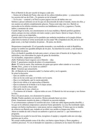 Pero al Bartolo le dio por sacarle la lengua a cada uno.
—Somos de la Banda del Puma -dijo uno de los cabros tirándose pinta— y conocemos todos
los secretos del sur de Chile. ¿Te gustaría ser de la banda?
—Ya lo creo —contesté y mi boca se puso jugosa con eso de hablar otra vez.
Salimos a pescar salmones en un río que era desconocido de todo el mundo, menos de ellos, y
nos asamos un salmón completamente glucoso. Nunca comí algo más rico. Bartolo se
enroscaba en los árboles mientras nosotros nos bañábamos en el río y jugamos a Tarzán,
indios y montones de cosas.
Cuando llegó la noche, nos amontonamos en la ruca maldita y Bartolo prefirió quedarse
afuera, porque era muy caliente con tanto cuerpo y poco hueco. Quizá se largó a llover y
quizá no, pero ya no importaba...
Cuando sentí la lluvia pensé en los perdidos que andarían mojándose en la jungla chilena.
¿Qué diría la mamá al verme acurrucado en una carpa? Me compadecía de ella, de la Ji, del
papá scout, y me bajó romadizo de pensar... De pena, me dormí...
Despertamos traspirando. El sol quemaba tremendo y era mediodía en toda la República,
porque la sombra nos quedaba debajito de los pies. Así duermen los scouts, y uno despierta
con hambre de puma.
Pero a la banda le quedaba de todo para comer y al poco rato el humito de la fogata olía a
salchichas y nos chorreaban los jugos de ganas de morderlas.
Ya sin hambre, empezamos a planear.
JAPO. Podríamos hacer negocio con el Bartolo —dijo.
COTE. Y ganaríamos montón de plata si lo amaestramos.
RODY. Él vería la suerte. Hay montones de gente que quiere saber cuándo se va a morir.
NEGRO. Pero, ¿cómo ve la suerte un culebro?
RODY. Tenemos que amaestrarlo.
YO. ¡Al Bartolo no lo amaestra nadie! Lo harían sufrir y no lo aguanto.
Se armó la discusión:
—Que un culebro no sufre.
—Que un tío me contó que en la India ven la suerte.
—Que si es inteligente, qué le cuesta aprender.
—Que tú eres idiota si no aprovechas al Bartolo.
—Que te echamos de la banda si no lo dejas actuar.
—Que yo le enseño a hacer judo
—Que nadie me lo toca -clamé yo.
—Te echamos de la banda —dijeron todos en coro. El Bartolo les tiró un escupo y nos fuimos
los dos...
Pero a los pocos pasos, nos alcanzaron los pumas.
NEGRO. Puedes quedarte con nosotros. Hemos pensado hacer un circo.
COTE. Ganaríamos montón de plata y el Bartolo no necesita trabajar.
Y así comenzamos a planear la cuestión del circo. Cada uno sabía alguna prueba choriflái, y
los que no la sabíamos empezamos a practicar hasta aprenderla. La cosa iba resultando súper,
aunque con hartos machucones y unas pocas narices sangrientas. El único que no se mataba
de esfuerzo era Bartolo que, trepado en un árbol, nos sacaba su lengua muy feliz.
Ahora se trataba de salir a buscar un auditorio o quizá un canal de t.v. que transmitiera el
programa.
Enrollamos en su palo la ruca de lona, recogimos el equipo y cargando cada uno con algo,
partimos por la selva.
Mi cuerpo estaba pintado como el de ellos, con hartos signos brujos y flores pegadas y
culebros preciosos. Yo era el domador de serpientes y caminaría en las manos llevando al
 