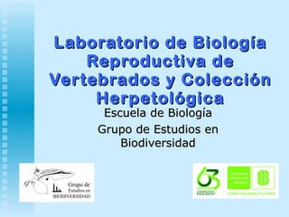 Laboratorio de Biología Reproductiva de Vertebrados y Colección Herpetológica Escuela de Biología Grupo de Estudios en Biodiversidad 