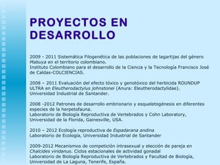 PROYECTOS EN DESARROLLO 2009 - 2011 Sistemática Filogenética de las poblaciones de lagartijas del género  Mabuya  en el territorio colombiano. Instituto Colombiano para el desarrollo de la Ciencia y la Tecnología Francisco José de Caldas-COLCIENCIAS. 2008 – 2011 Evaluación del efecto tóxico y genotóxico del herbicida ROUNDUP ULTRA en  Eleutherodactylus johnstonei  (Anura: Eleutherodactylidae). Universidad Industrial de Santander. 2008 -2012 Patrones de desarrollo embrionario y esqueletogénesis en diferentes especies de la herpetofauna. Laboratorio de Biología Reproductiva de Vertebrados y Cohn Laboratory, Universidad de la Florida, Gainesville, USA. 2010 – 2012 Ecología reproductiva de  Espadarana andina Laboratorio de Ecología, Universidad Industrial de Santander 2009-2012 Mecanismos de competición intrasexual y elección de pareja en  Chalcides viridanus . Ciclos estacionales de actividad gonadal Laboratorio de Biología Reproductiva de Vertebrados y Facultad de Biología, Universidad de La Laguna, Tenerife, España. 