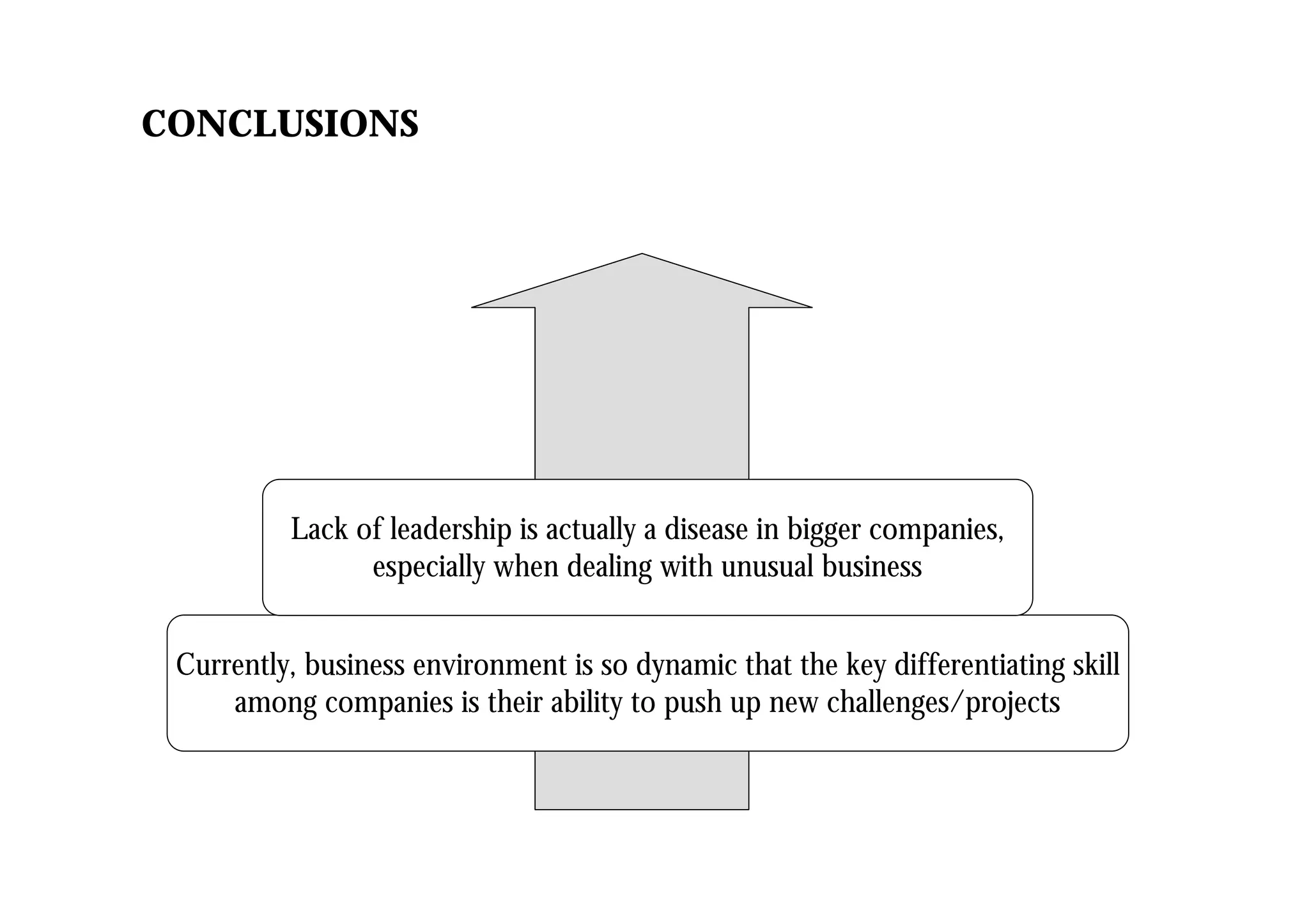CONCLUSIONS
Currently, business environment is so dynamic that the key differentiating skill
among companies is their ability to push up new challenges/projects
Lack of leadership is actually a disease in bigger companies,
especially when dealing with unusual business
 
