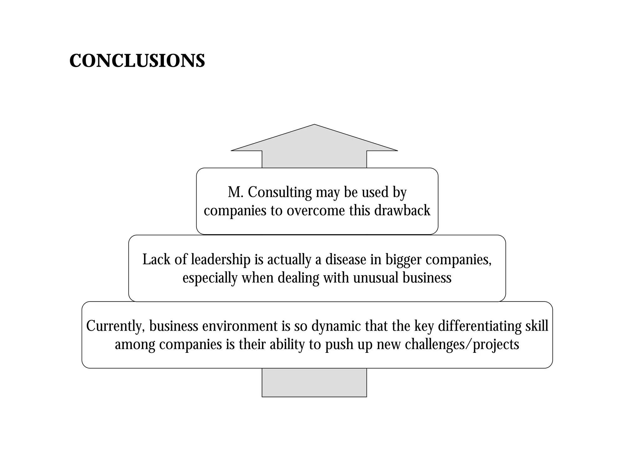 CONCLUSIONS
Currently, business environment is so dynamic that the key differentiating skill
among companies is their ability to push up new challenges/projects
Lack of leadership is actually a disease in bigger companies,
especially when dealing with unusual business
M. Consulting may be used by
companies to overcome this drawback
 