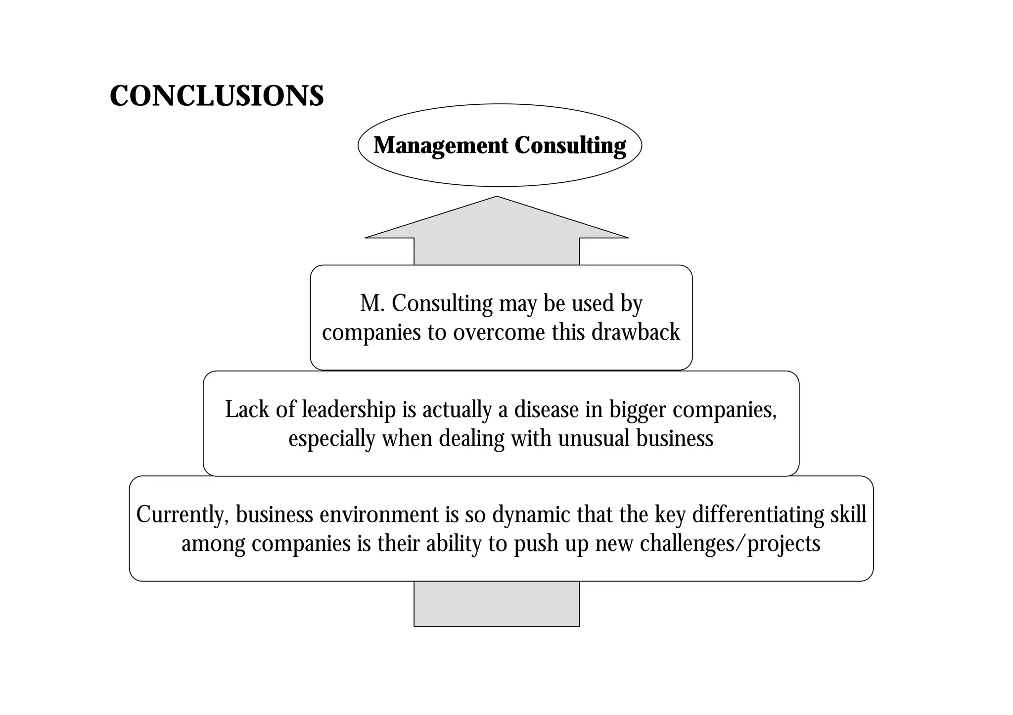 CONCLUSIONS
Currently, business environment is so dynamic that the key differentiating skill
among companies is their ability to push up new challenges/projects
Lack of leadership is actually a disease in bigger companies,
especially when dealing with unusual business
M. Consulting may be used by
companies to overcome this drawback
Management Consulting
 
