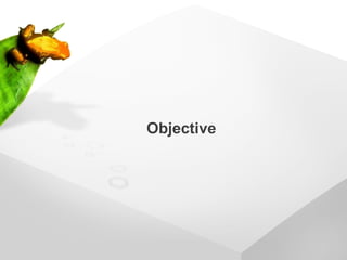 Objective
 