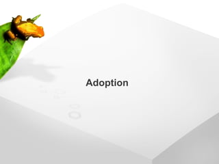 Adoption
 