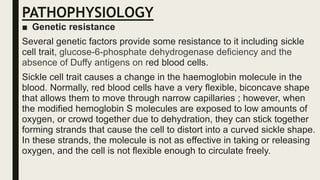 PATHOPHYSIOLOGY
■ Genetic resistance
Several genetic factors provide some resistance to it including sickle
cell trait, glucose-6-phosphate dehydrogenase deficiency and the
absence of Duffy antigens on red blood cells.
Sickle cell trait causes a change in the haemoglobin molecule in the
blood. Normally, red blood cells have a very flexible, biconcave shape
that allows them to move through narrow capillaries ; however, when
the modified hemoglobin S molecules are exposed to low amounts of
oxygen, or crowd together due to dehydration, they can stick together
forming strands that cause the cell to distort into a curved sickle shape.
In these strands, the molecule is not as effective in taking or releasing
oxygen, and the cell is not flexible enough to circulate freely.
 