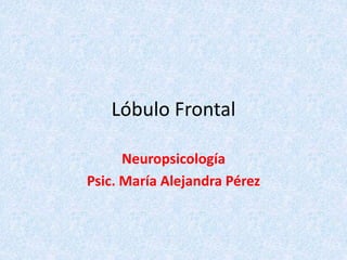 Lóbulo Frontal
Neuropsicología
Psic. María Alejandra Pérez
 