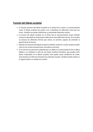 Función del lóbulo occipital
La función primaria del lóbulo occipital es el control de la visión y el procesamiento
visual. El lóbulo occipital nos ayuda a ver e identificar las diferentes cosas que nos
miran. También nos ayuda a diferenciar y comprender diferentes colores.
La función del lóbulo occipital no se limita sólo al reconocimiento visual; también
incluye la capacidad de comprender y diferenciar entre diferentes formas. Si el cerebro
no procesa las diferentes formas que vemos, no seremos capaces de entender la
geometría de las formas.
Además las funciones del lóbulo occipital se dividen conforme a varios campos visuales
como lo son el área visual primaria, secundaria y terciaria.
En el caso de una persona es golpeada por un objeto en la parte posterior de la cabeza
debido a un accidente o sufre de una lesión cerebral traumática, que pueden sufrir
daños irreparables en el lóbulo occipital. Esto puede causar problemas de visión,
alucinaciones y la falta de interpretar los estímulos visuales. También puede conducir a
la ceguera total o un cambio en la visión.
 