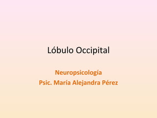 Lóbulo Occipital
Neuropsicología
Psic. María Alejandra Pérez
 