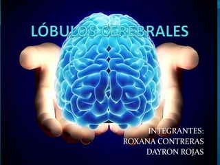 INTEGRANTES:
ROXANA CONTRERAS
DAYRON ROJAS
 