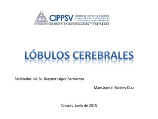 Facilitador: M. Sc. Brayner López Sarmiento
Maestrante: Yurleny Díaz
Caracas, Junio de 2015
 