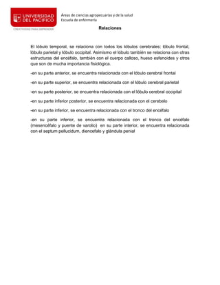 Áreas de ciencias agropecuarias y de la salud
Escuela de enfermería
Relaciones
El lóbulo temporal, se relaciona con todos los lóbulos cerebrales: lóbulo frontal,
lóbulo parietal y lóbulo occipital. Asimismo el lóbulo también se relaciona con otras
estructuras del encéfalo, también con el cuerpo calloso, hueso esfenoides y otros
que son de mucha importancia fisiológica.
-en su parte anterior, se encuentra relacionada con el lóbulo cerebral frontal
-en su parte superior, se encuentra relacionada con el lóbulo cerebral parietal
-en su parte posterior, se encuentra relacionada con el lóbulo cerebral occipital
-en su parte inferior posterior, se encuentra relacionada con el cerebelo
-en su parte inferior, se encuentra relacionada con el tronco del encéfalo
-en su parte inferior, se encuentra relacionada con el tronco del encéfalo
(mesencéfalo y puente de varolio) en su parte interior, se encuentra relacionada
con el septum pellucidum, diencefalo y glándula penial
 