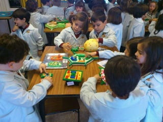 áLbum célula en 2ºinf