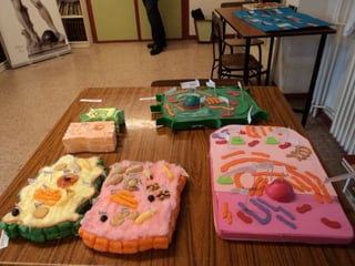 áLbum célula en 2ºinf