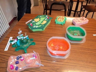 áLbum célula en 2ºinf