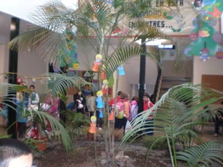 Colegio Samoga-Diciembre 2008 