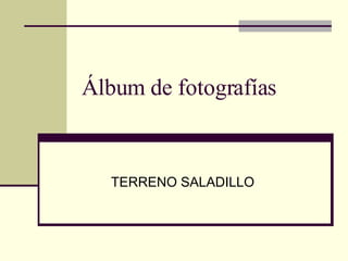 Álbum de fotografías TERRENO SALADILLO 