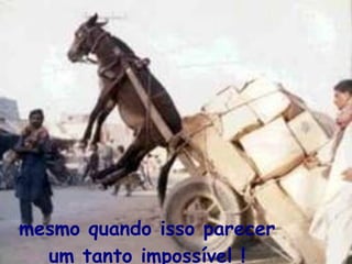 mesmo quando isso parecer um tanto impossível ! 