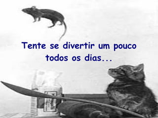 Tente se divertir um pouco todos os dias... 