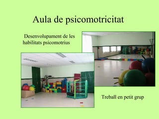 Aula de psicomotricitat Desenvolupament de les habilitats psicomotrius  Treball en petit grup 