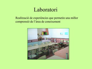 Laboratori Realització de experiències que permetin una millor comprensió de l’àrea de coneixement  
