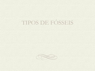 TIPOS DE FÓSSEIS 