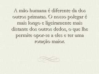 A mão humana é diferente da dos outros primatas. O nosso polegar é mais longo e ligeiramente mais distante dos outros dedos, o que lhe permite opor-se a eles e ter uma rotação maior. 